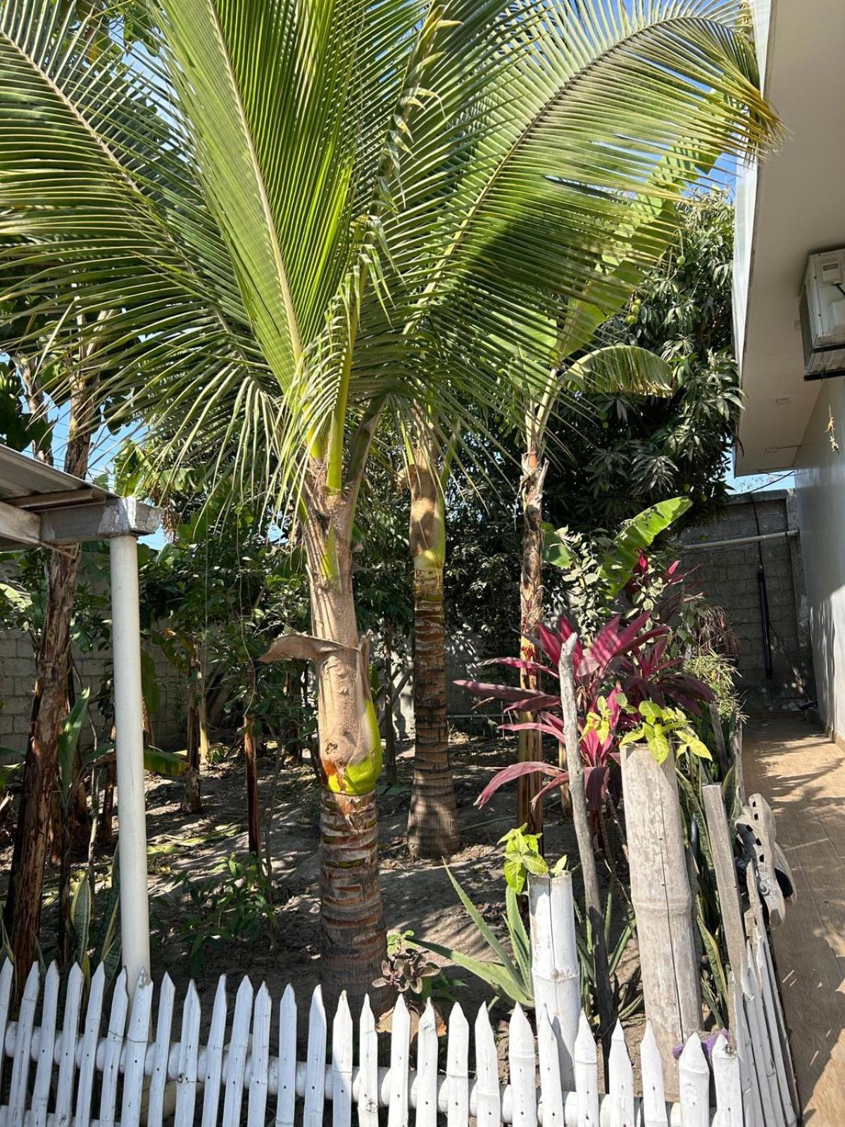 Casa Con Piscina Privada Otel Manta Dış mekan fotoğraf